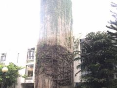 -大埔公路-马料水段香港中文大学(公交站)