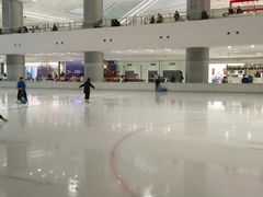 -TheRink大零溜冰场(IFS国金中心店)