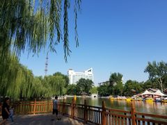 -莲湖公园