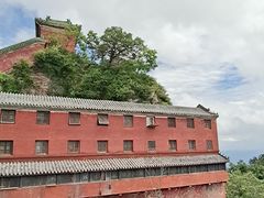 -老味道1992(武当山店)