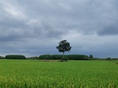 -嘉北郊野公园