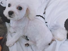-MOLLY'S萌宠生活馆