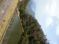 android_upload_pic-大明山自然探索公园