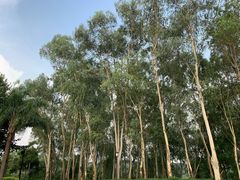 -福建鲤鱼洲酒店