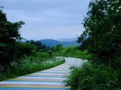 -莫干山风景区