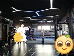 -M.S拳击泰拳馆(大学路店)