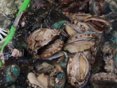 -渔民船说·北塘海鲜·天津菜·海肠捞饭(北塘古镇店)
