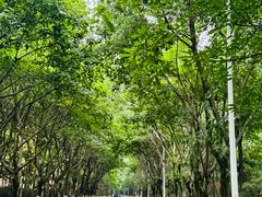 -成都工业学院(郫都校区)