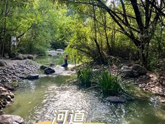 -新虹桥中心花园