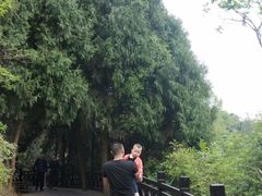 -仙海旅游度假区