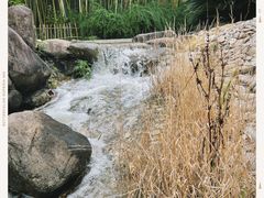 -新虹桥中心花园