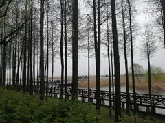 -苏州太湖湖滨国家湿地公园