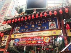 -罗汉果龙眼冰糖燉冬瓜