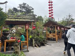 -青城甲(青城山店)