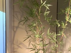-绿茶餐厅(淮安吾悦广场店)