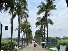 -南宁南湖公园