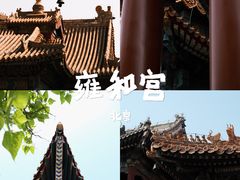 -雍和宫
