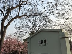 -南山植物园