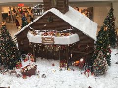 -比格比萨自助(德思勤四季汇店)