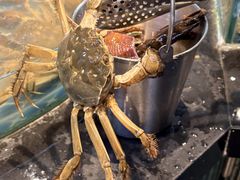 -争先鲜·蒸汽海鲜自助·鲜切牛肉
