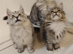 -宁波杉井奥特莱斯广场