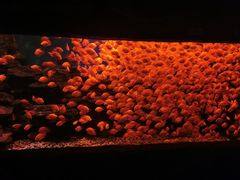 -多彩贵州城极地海洋世界