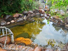 -天芳悦潭度假村温泉