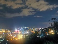 -长虫山生态公园风景林