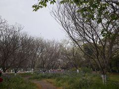 -凤凰沟景区