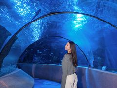 -太平洋海底世界