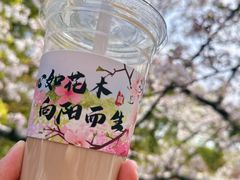 -同济大学本部学苑饮食广场