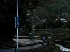 -莫干山风景区