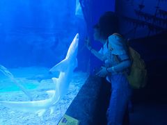 -多彩贵州城极地海洋世界