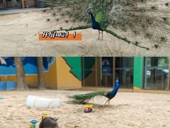-宁波九龙湖开元度假村