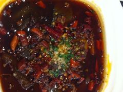 毛血旺-渝信川菜(工体店)