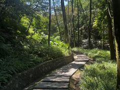 -黄埔油麻山森林公园