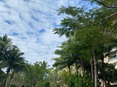 -海南清水湾莱佛士酒店