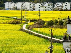 -婺源风景区