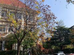 -天津五大道文化旅游区