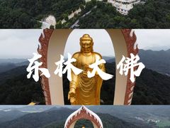 -东林大佛