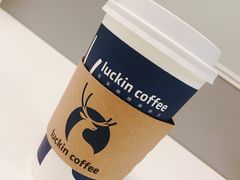 -瑞幸咖啡(东亚望京中心店)