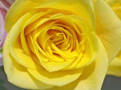 -醉得意(武大店)