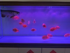 -宁海食府(大剧院店)