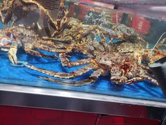 -盒马鲜生(顺义店)
