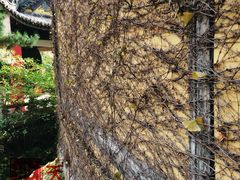 -无锡惠山寺