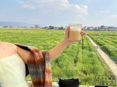 -喜林苑·稻田餐厅(品相府店)