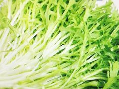 苦苣-玉林串串香(九号天地店)