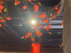 -鸽子窝(青塔店)