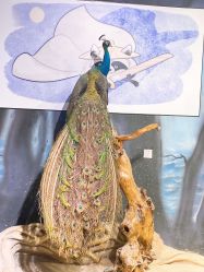 -酷嗒动物文化乐园(cutezoo西溪乐天城店)