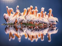 -罗红摄影艺术馆